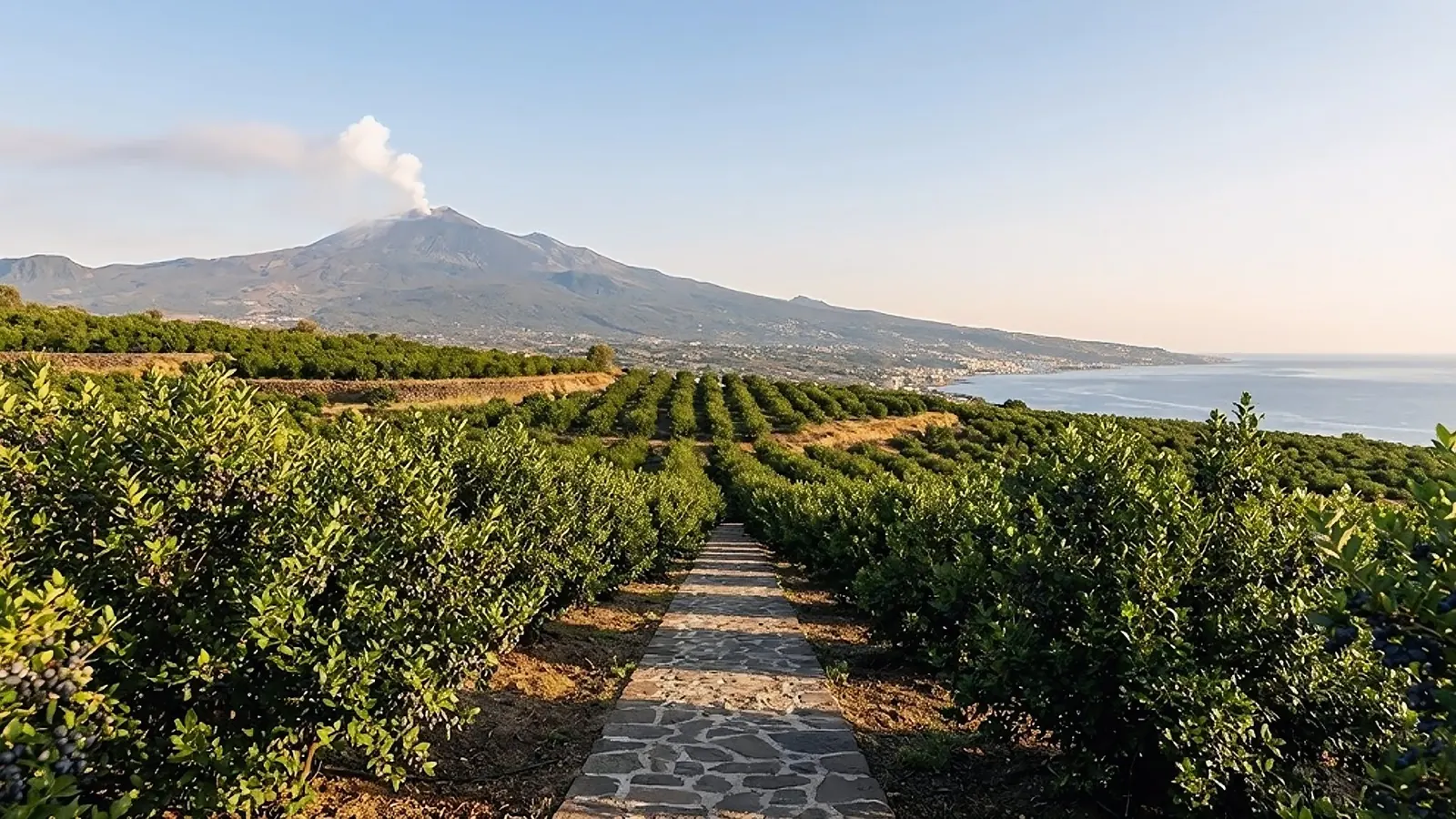 Le pendici dell'Etna